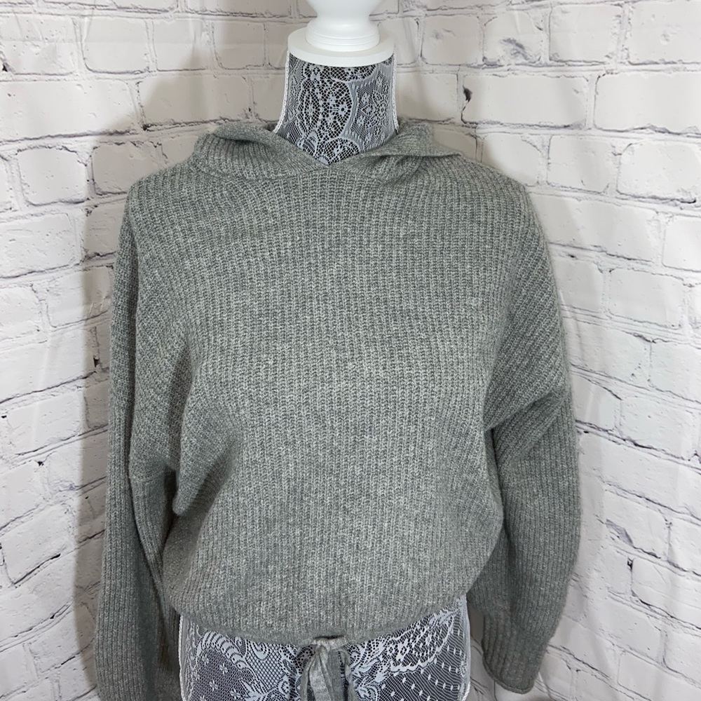 American eagle: Sweater/hoodie